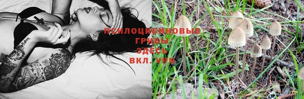 ALPHA PVP Алзамай