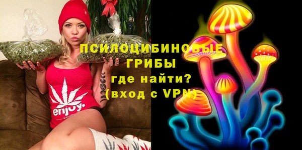 экстази Алексин