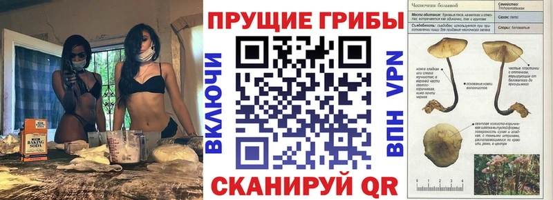 Псилоцибиновые грибы прущие грибы Аркадак